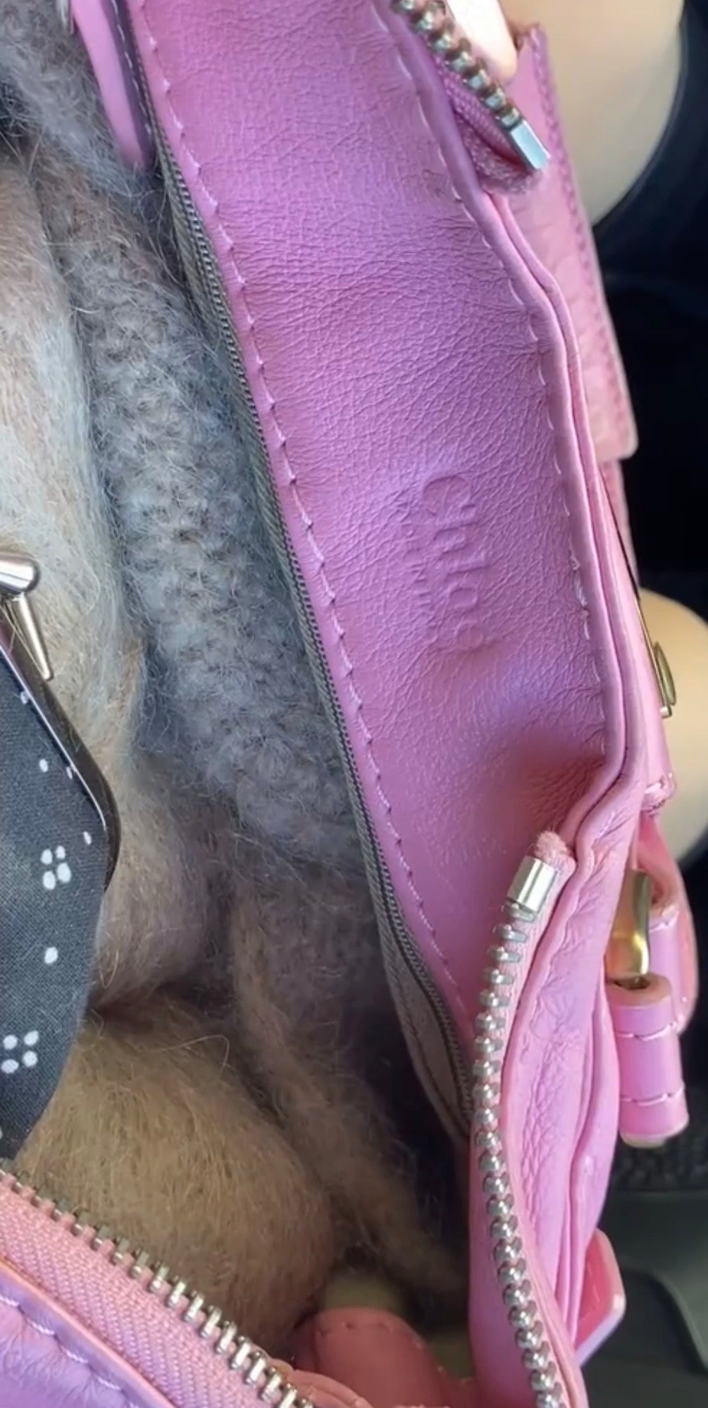 VINTAGE PINK Chloe Paddington Bag